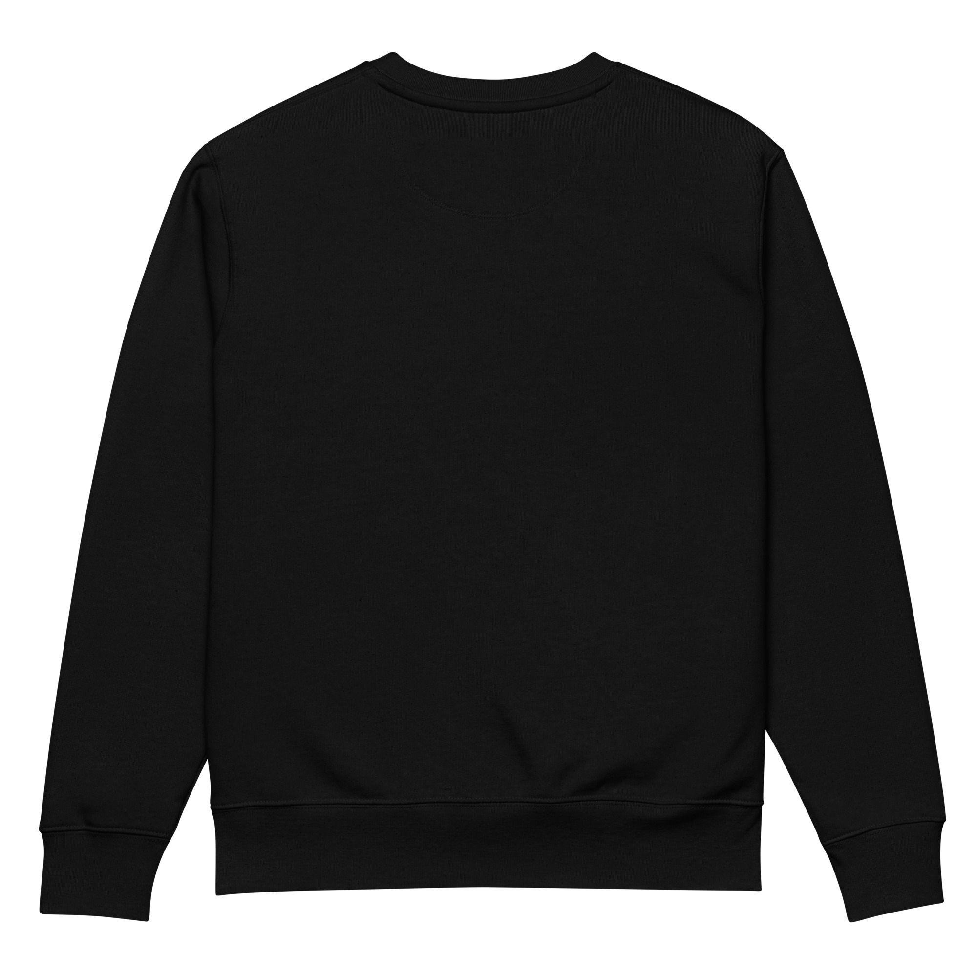 unisex-eco-sweatshirt-black-back-6747804a119b0.jpg