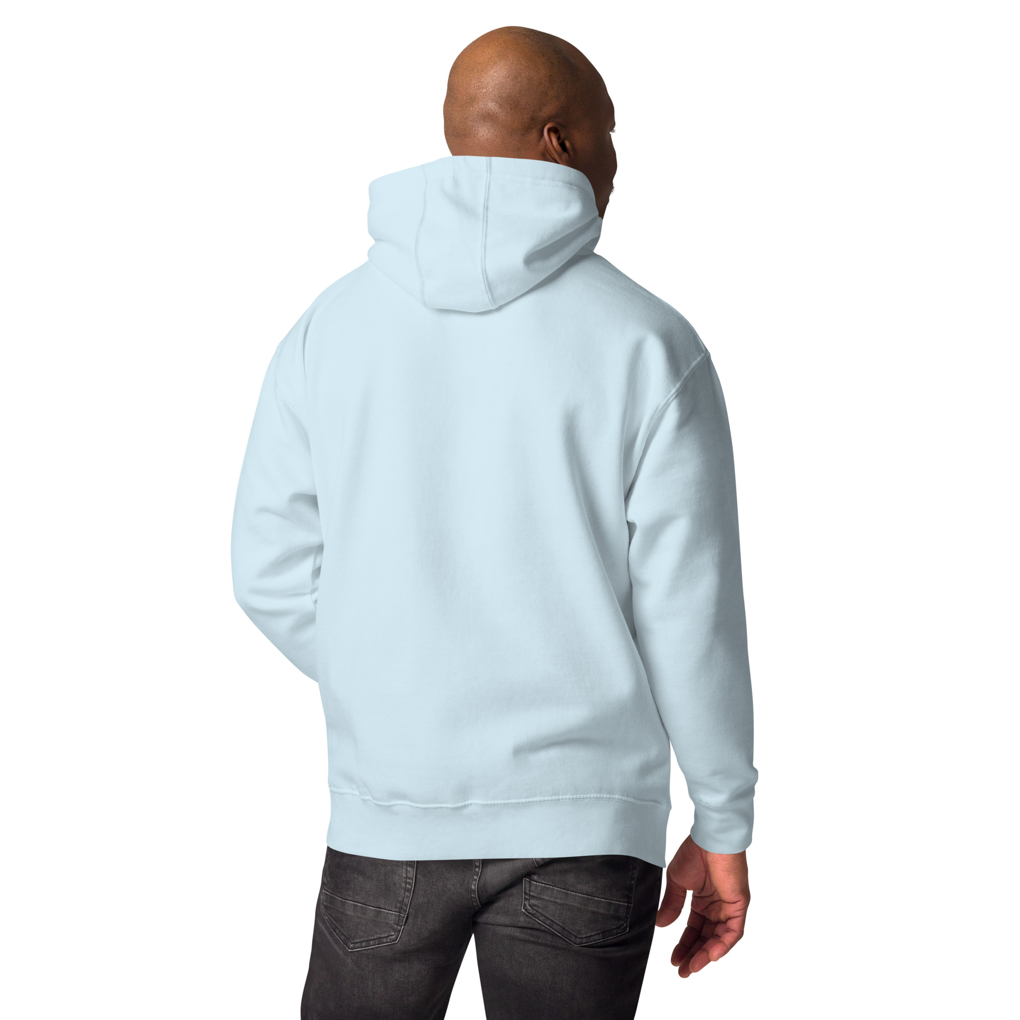 unisex-premium-hoodie-sky-blue-back-6744eede6a255.jpg