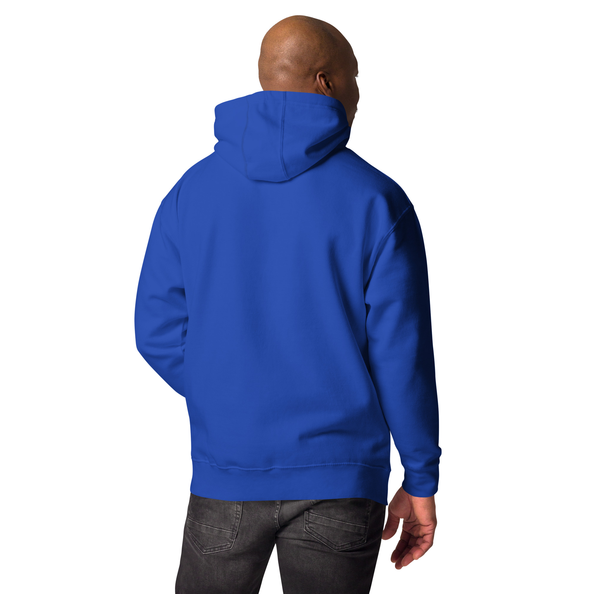 unisex-premium-hoodie-team-royal-back-6744eede6331d.jpg